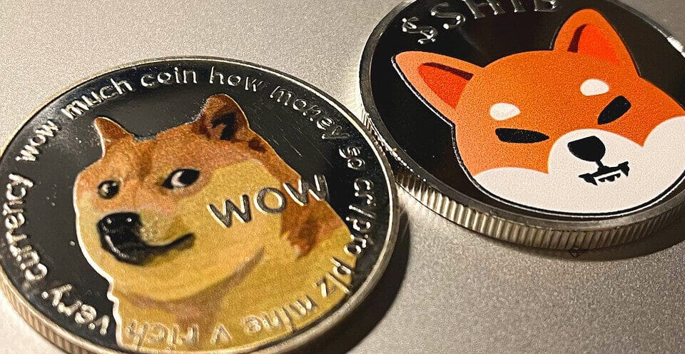 popularne kryptowaluty